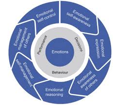 Emotional Intelligence Coaching