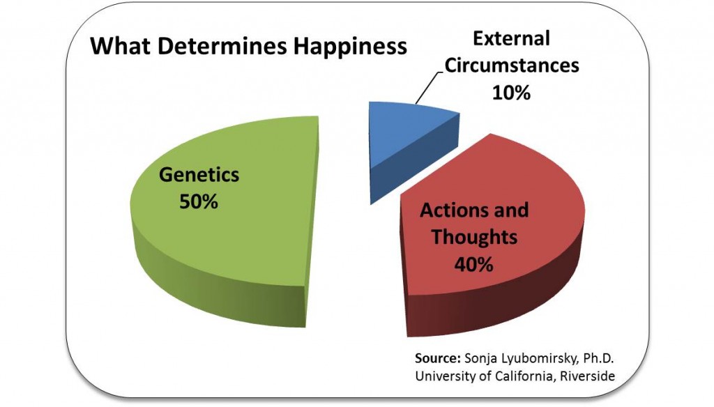 pie-chart-what-determines-happiness